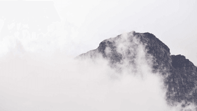 Bonsai - professional stock photography