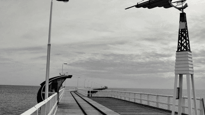 Bonsai - professional stock photography