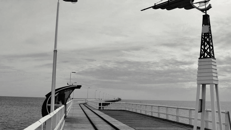 Bonsai - professional stock photography