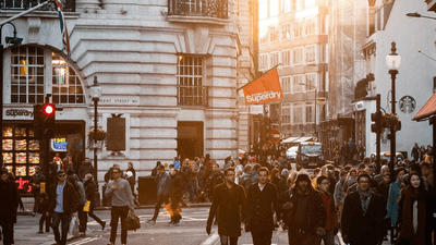 Bonsai - professional stock photography