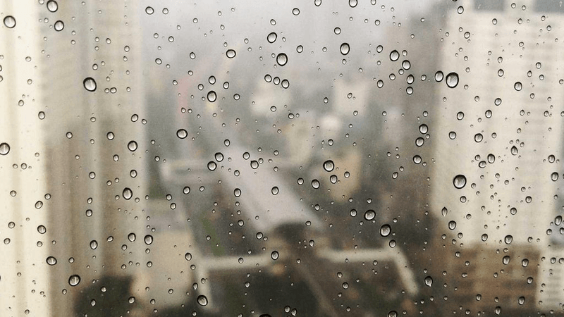 Compost - professional stock photography