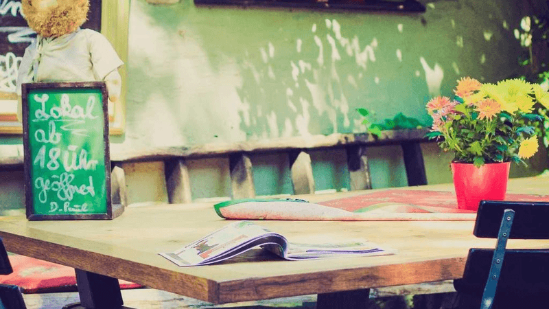 Fern - professional stock photography