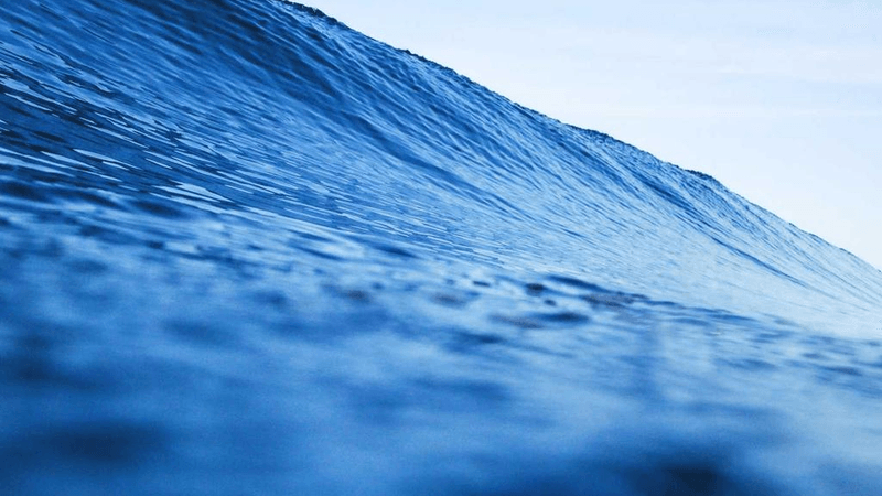 Flowers - professional stock photography