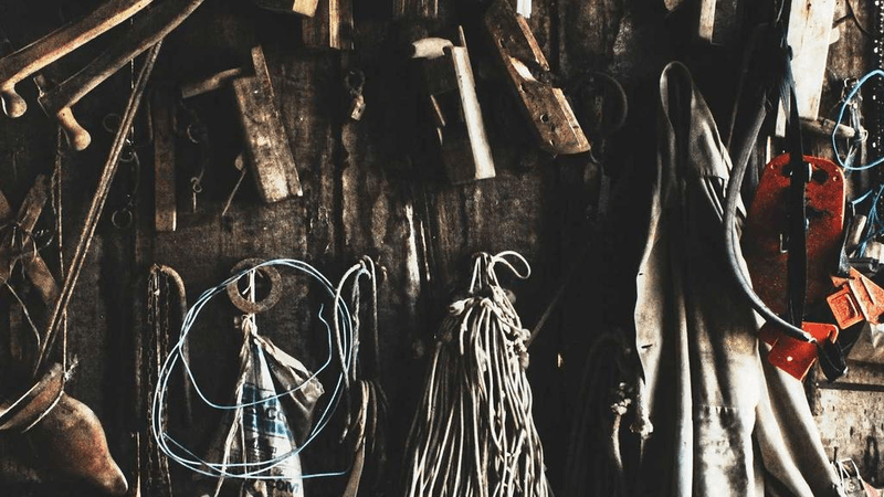 Flowers - professional stock photography