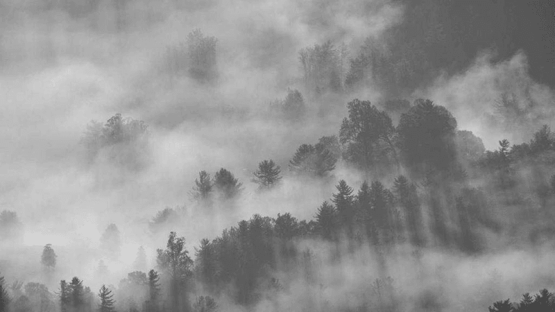 Greenhouse - professional stock photography