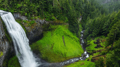 Herbs - professional stock photography