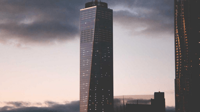 Herbs - professional stock photography