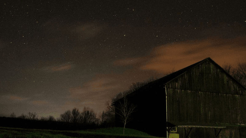 Herbs - professional stock photography