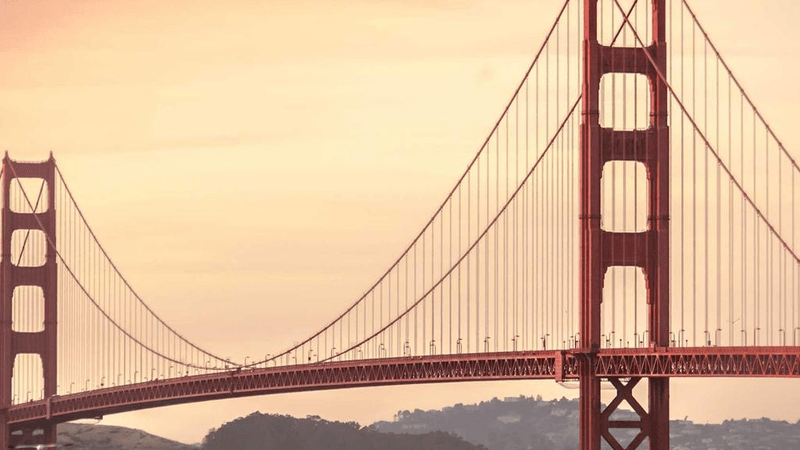 Herbs - professional stock photography