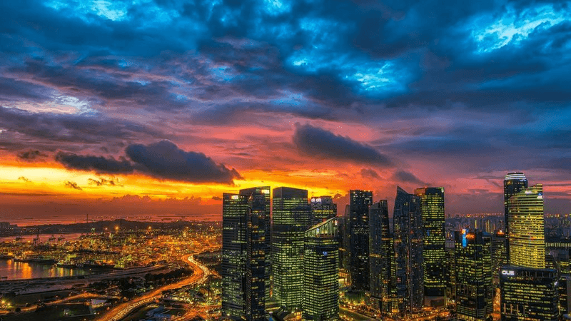Lavender - professional stock photography