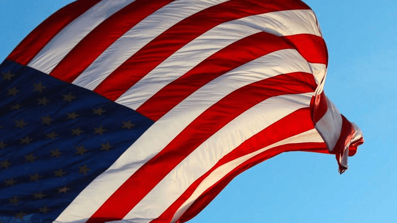 Lavender - professional stock photography