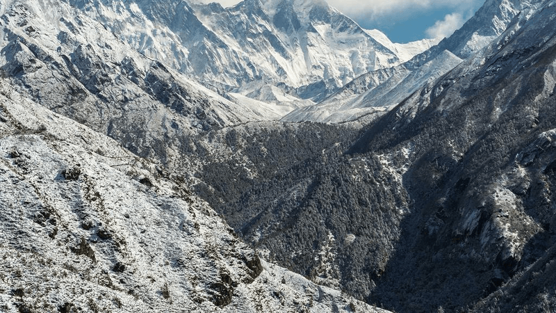 Mint - professional stock photography