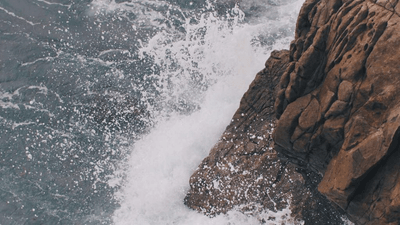 Mint - professional stock photography