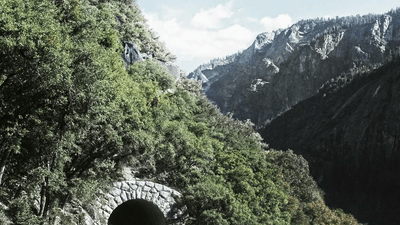 Potted - professional stock photography