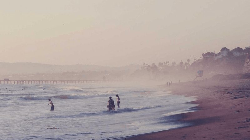 Pruning - professional stock photography