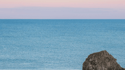Pruning - professional stock photography