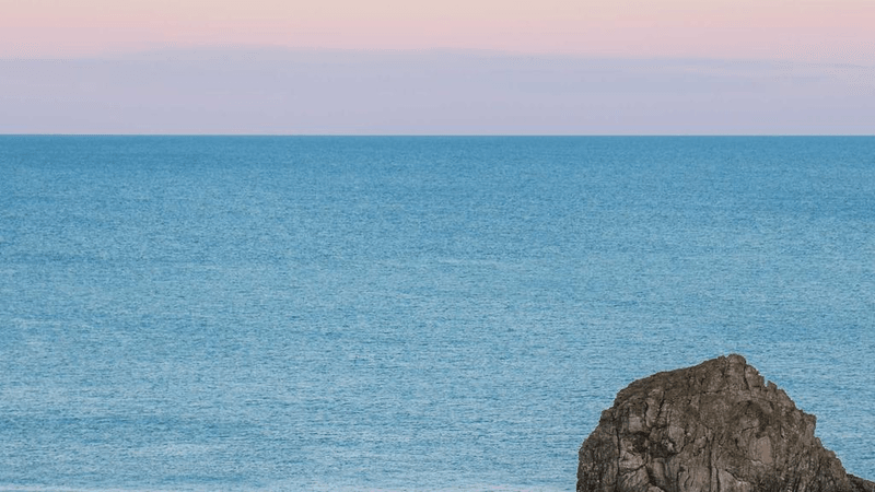 Pruning - professional stock photography