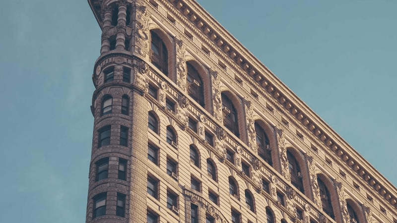 Roses - professional stock photography