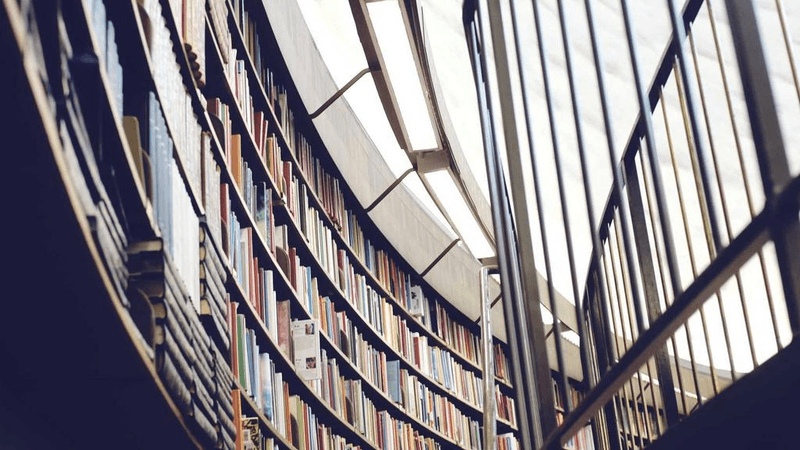 Roses - professional stock photography