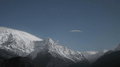 Seeds - professional stock photography