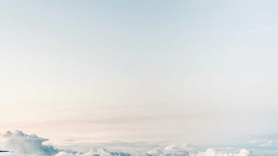 Seeds - professional stock photography