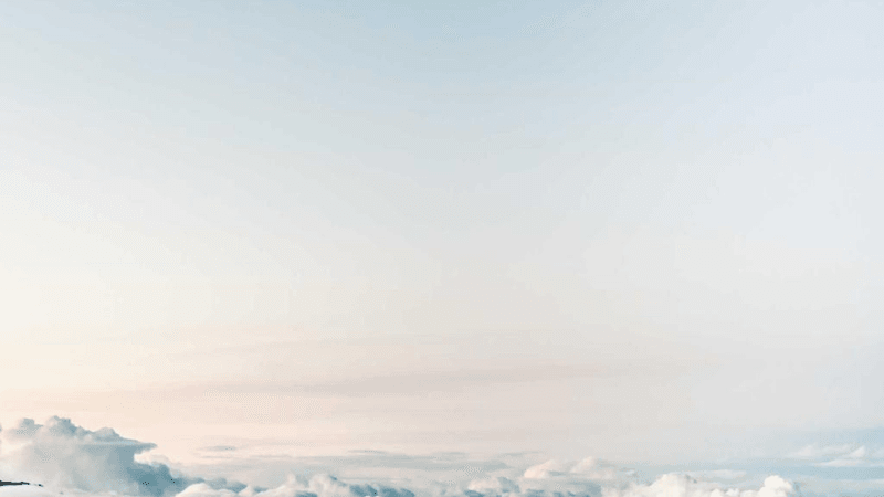 Seeds - professional stock photography