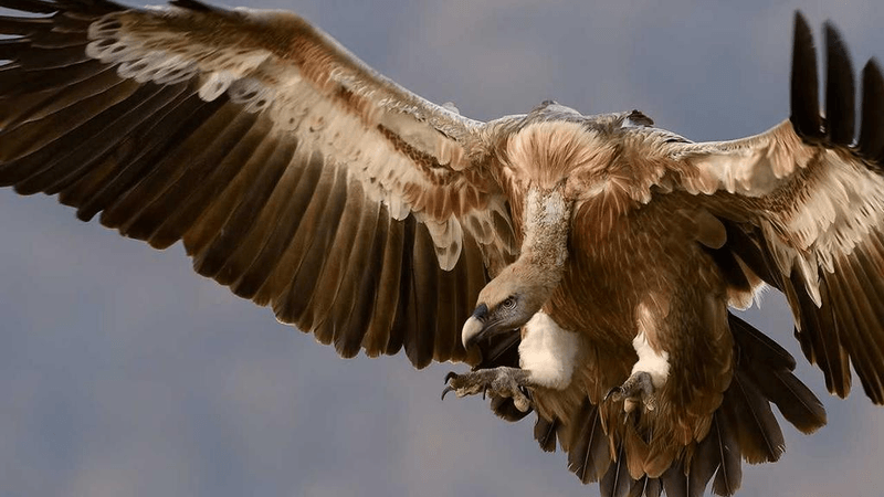 Soil - professional stock photography