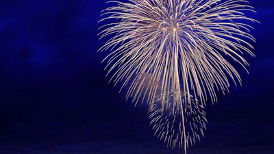 Succulent - professional stock photography