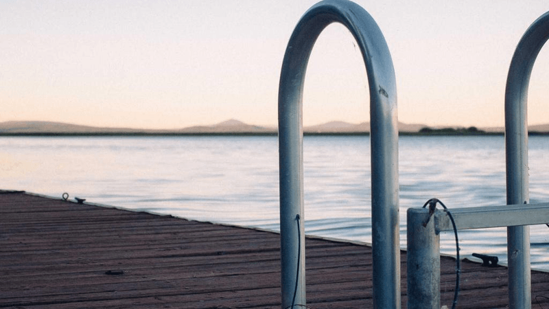 Succulent - professional stock photography