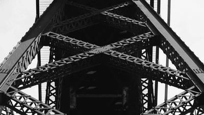 Succulent - professional stock photography