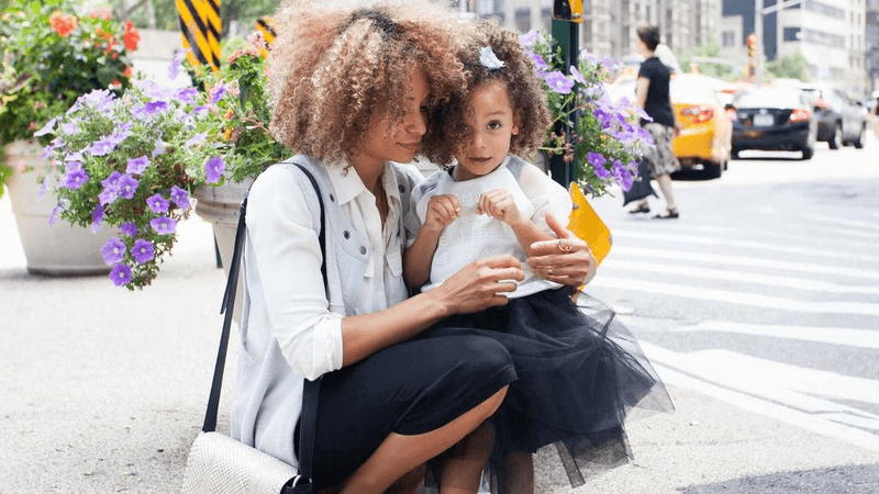 Succulent - professional stock photography