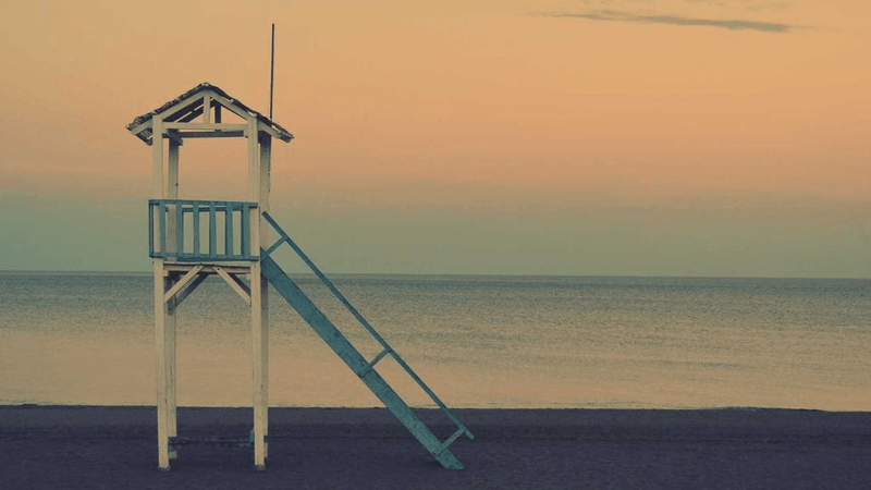 Tomato - professional stock photography