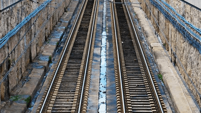 Tulips - professional stock photography