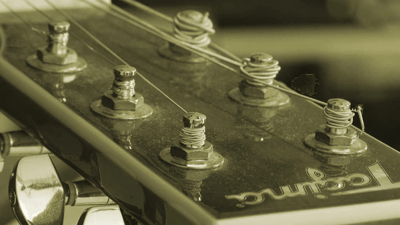 Tulips - professional stock photography