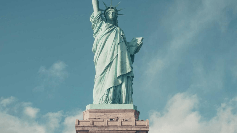 Tulips - professional stock photography