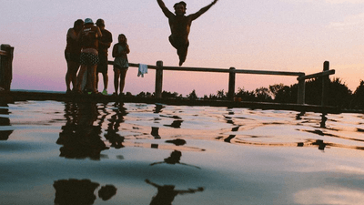 Tulips - professional stock photography