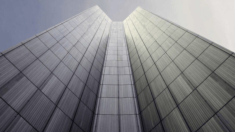 Tulips - professional stock photography