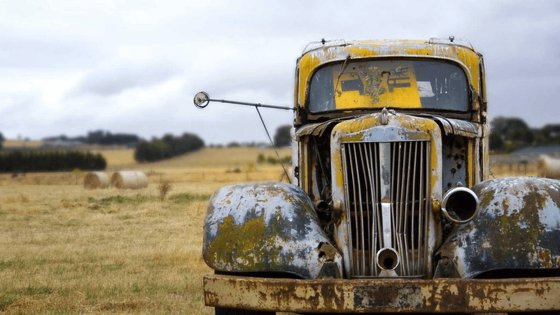 Vegetables - professional stock photography