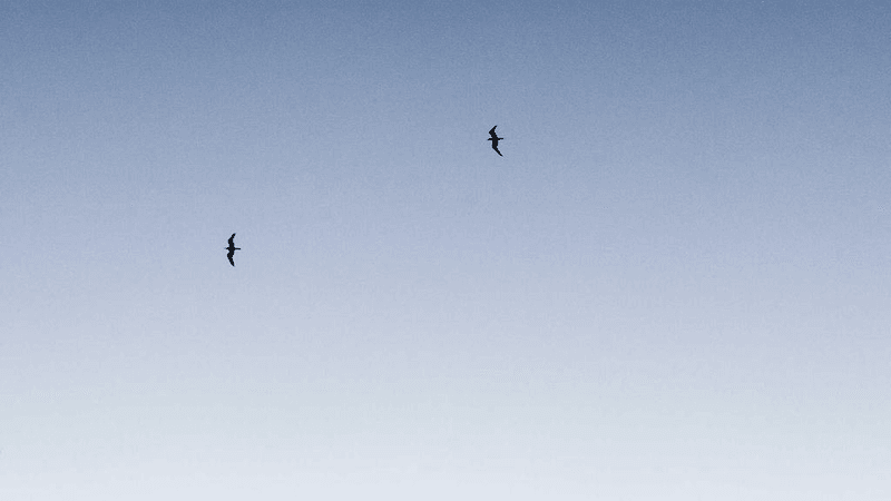 Watering - professional stock photography